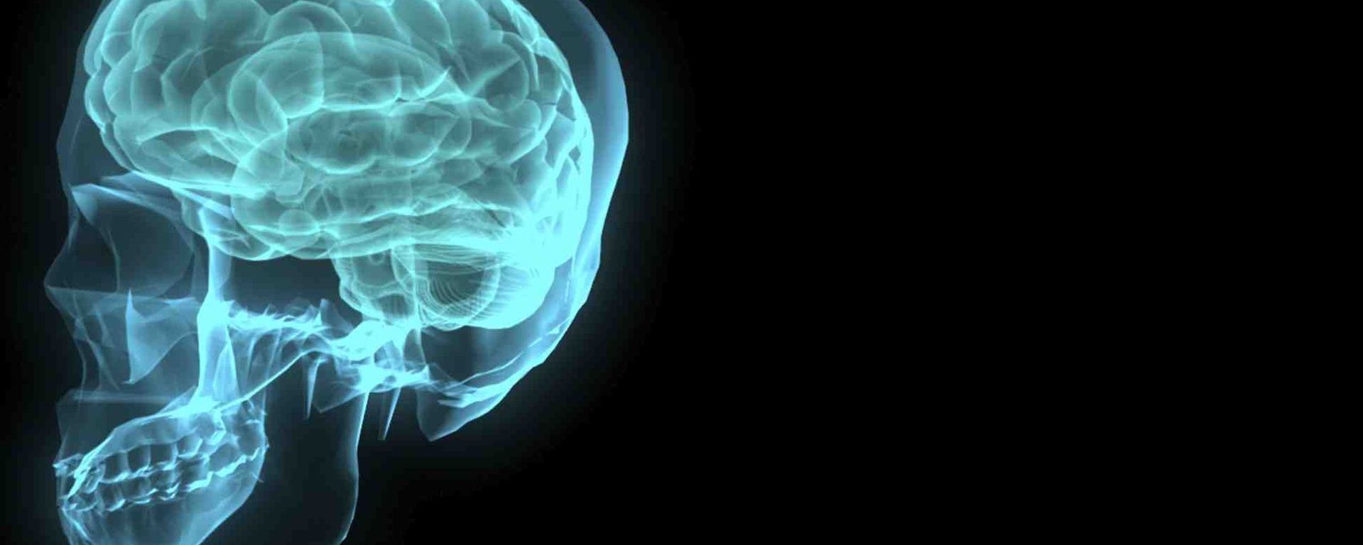 green brain transparent